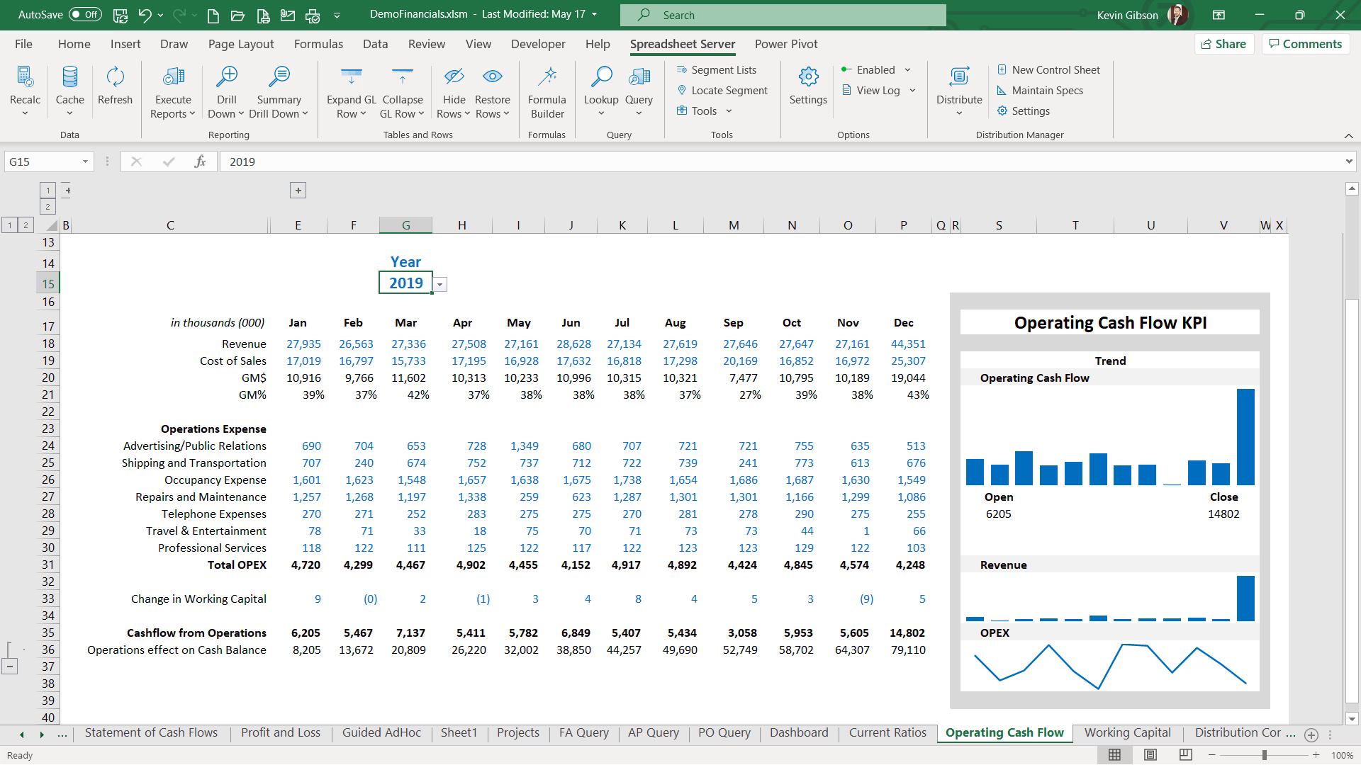 Sample Operating Cash Flow screen